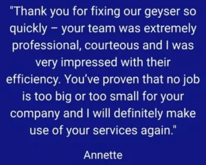 Customer testimonial from Annette about a geyser repair